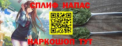 индика Кунгур