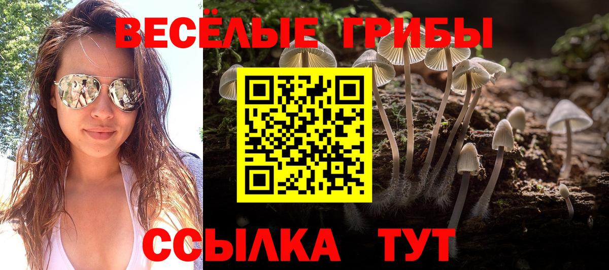 Псилоцибиновые грибы мухоморы Карпинск