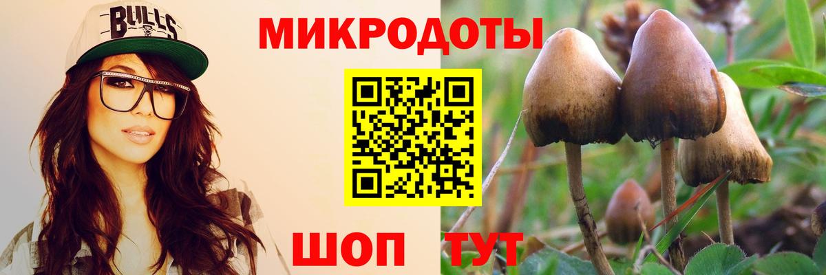 Карпинск  Галлюциногенные грибы Magic Shrooms  Вход с VPN 