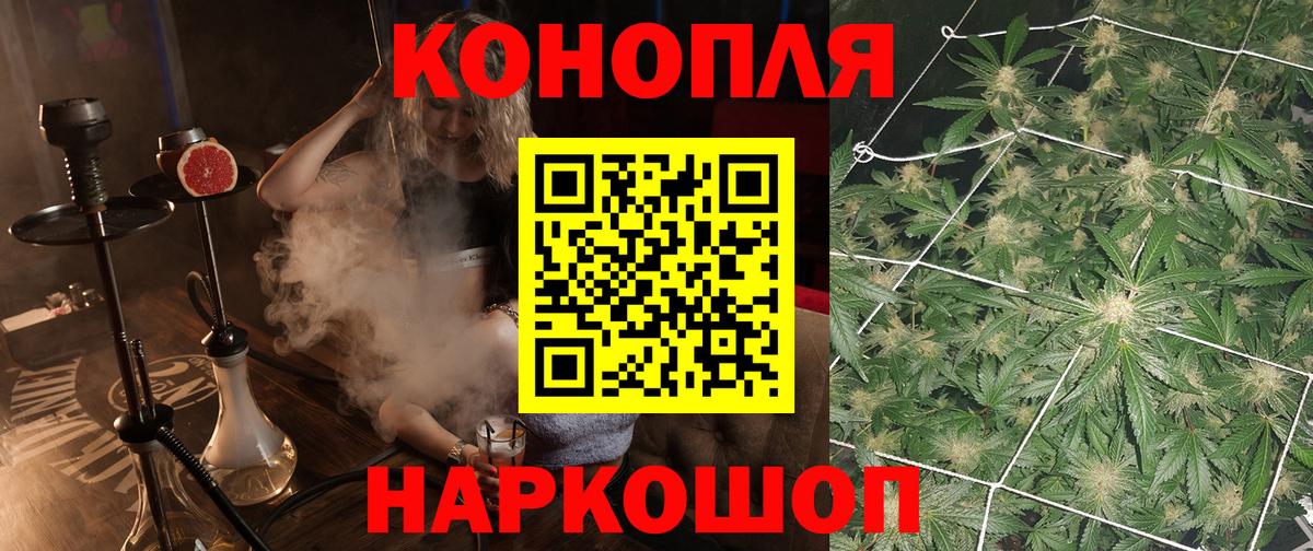 Бошки Шишки MAZAR Карпинск
